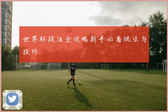 世界杯投注全攻略新手必看玩法与技巧