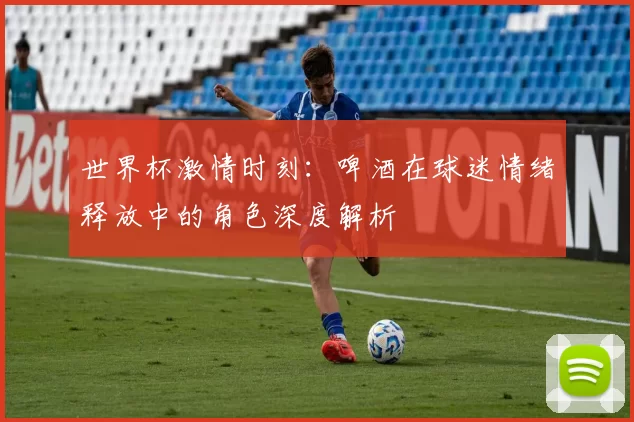 世界杯激情时刻：啤酒在球迷情绪释放中的角色深度解析