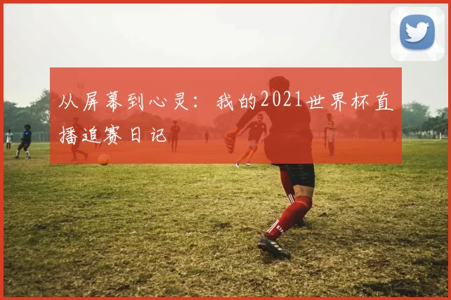 从屏幕到心灵：我的2021世界杯直播追赛日记