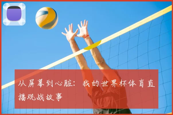 从屏幕到心脏：我的世界杯体育直播观战故事