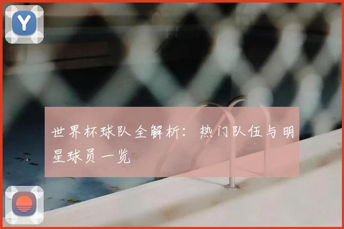 世界杯球队全解析:热门队伍与明星球员一览