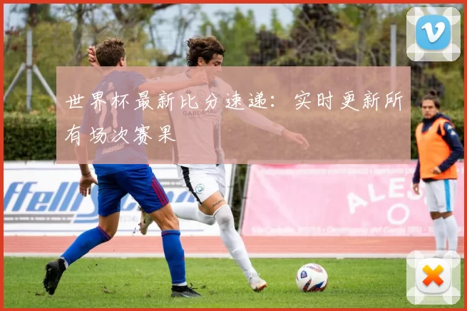 世界杯最新比分速递：实时更新所有场次赛果