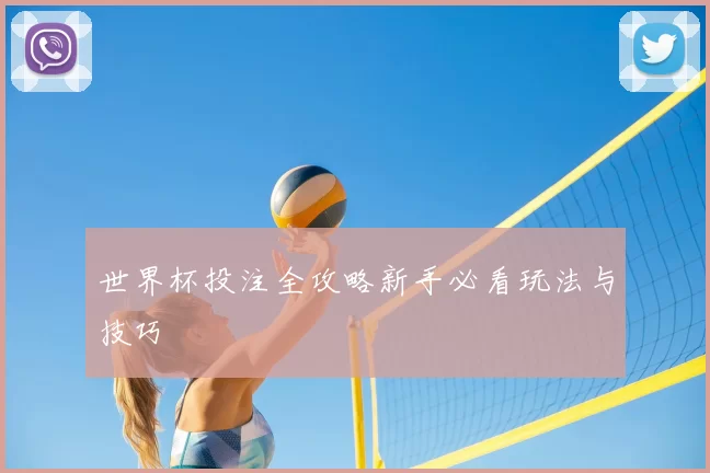 世界杯投注全攻略新手必看玩法与技巧