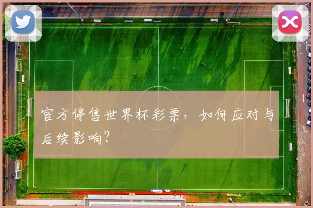 官方停售世界杯彩票，如何应对与后续影响？