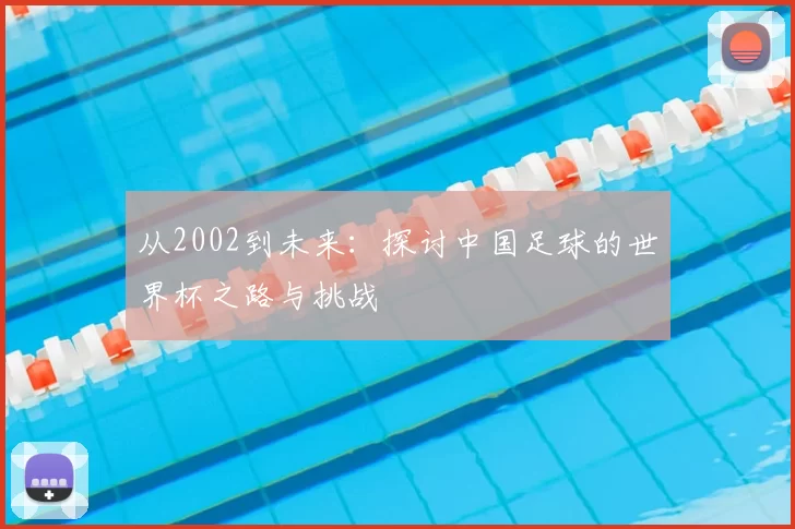 从2002到未来:探讨中国足球的世界杯之路与挑战