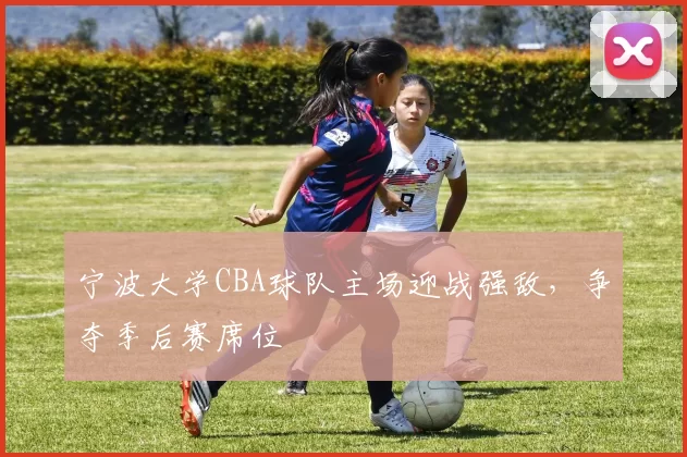 宁波大学CBA球队主场迎战强敌,争夺季后赛席位