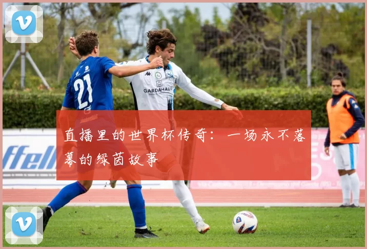 直播里的世界杯传奇：一场永不落幕的绿茵故事