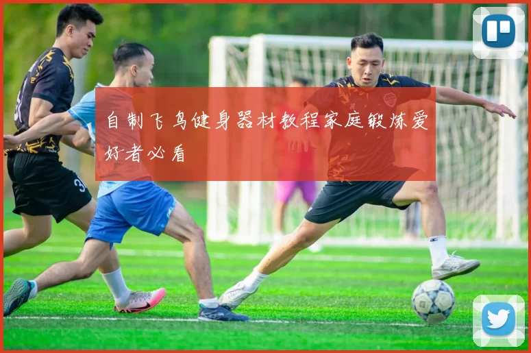 自制飞鸟健身器材教程家庭锻炼爱好者必看