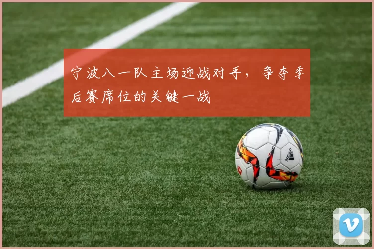宁波八一队主场迎战对手，争夺季后赛席位的关键一战