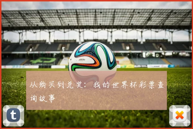 从购买到兑奖:我的世界杯彩票查询故事