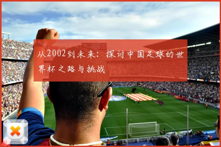 从2002到未来：探讨中国足球的世界杯之路与挑战