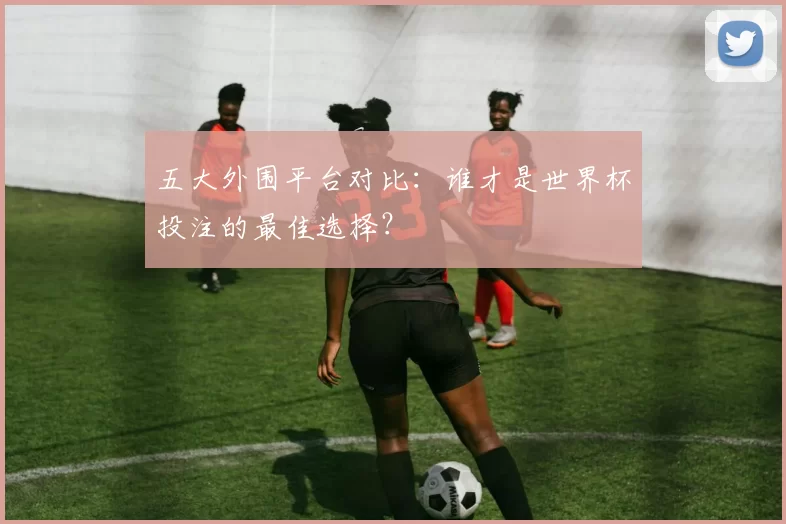 五大外围平台对比:谁才是世界杯投注的最佳选择?