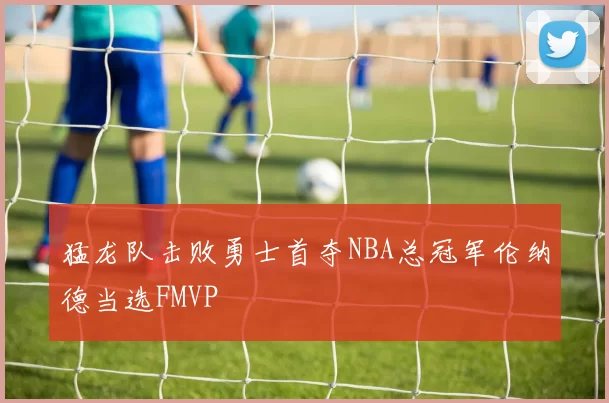 猛龙队击败勇士首夺NBA总冠军伦纳德当选FMVP