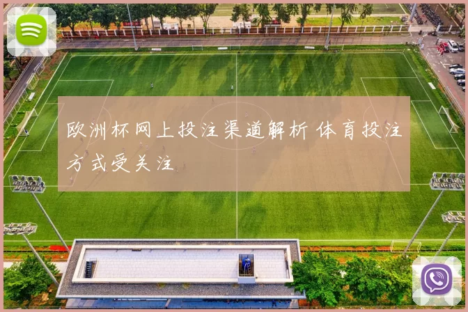 欧洲杯网上投注渠道解析 体育投注方式受关注