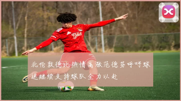 北伦敦德比热情高涨范德芬呼吁球迷继续支持球队全力以赴