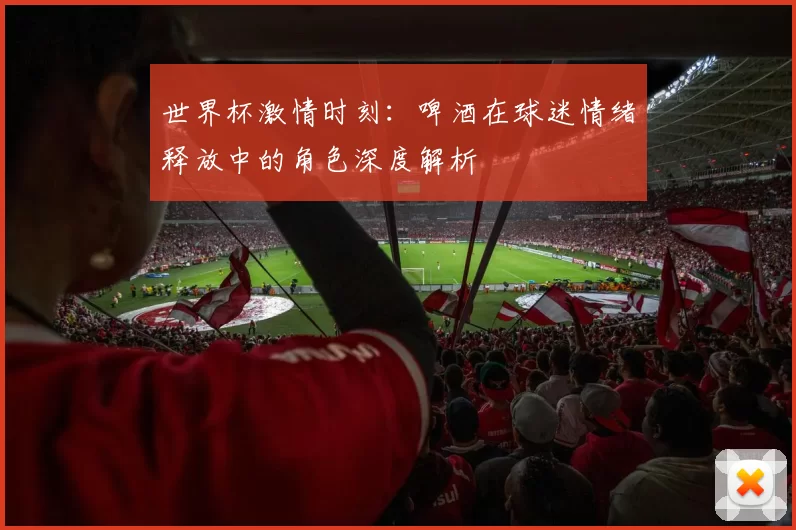 世界杯激情时刻：啤酒在球迷情绪释放中的角色深度解析